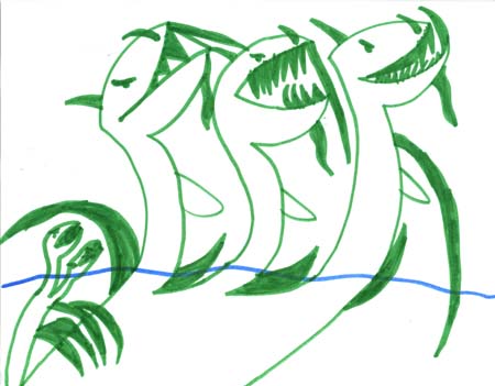 SeaMonster