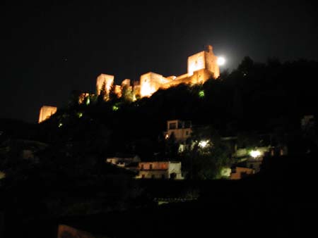 Alhambra in Moonlight